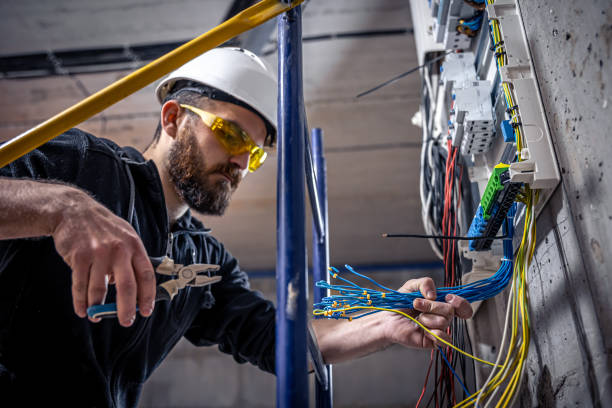 Best Electric Panel Repair  in Dunlap, IL